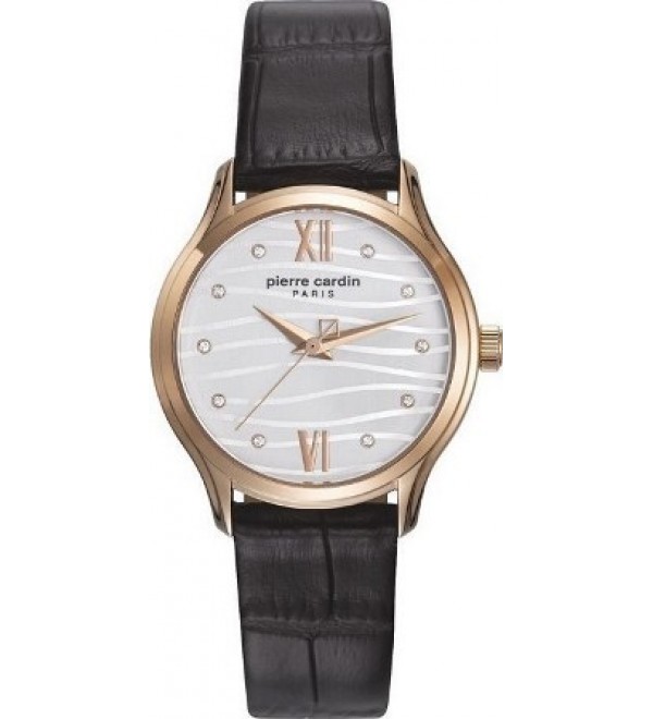 Ore Pierre Cardin PC108162F09